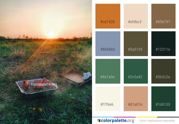 Grass Morning Sky Color Palette