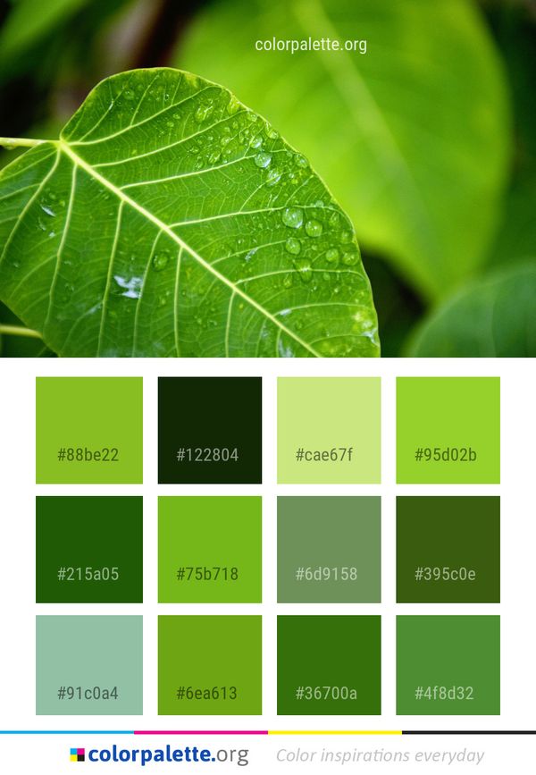 Leaf Green Vegetation Color Palette