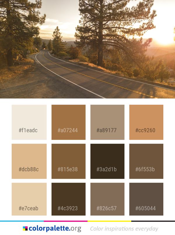 Road Nature Sky Color Palette