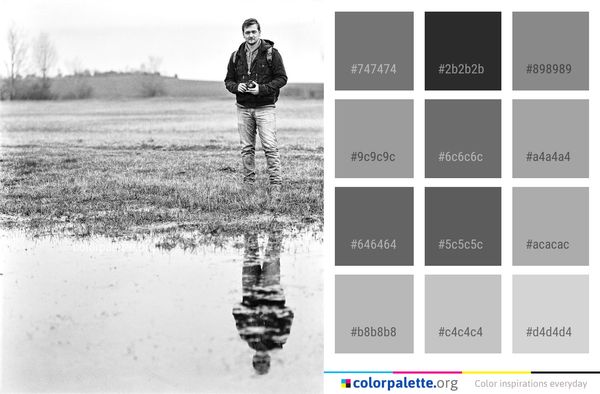 Water Reflection Photograph Color Palette