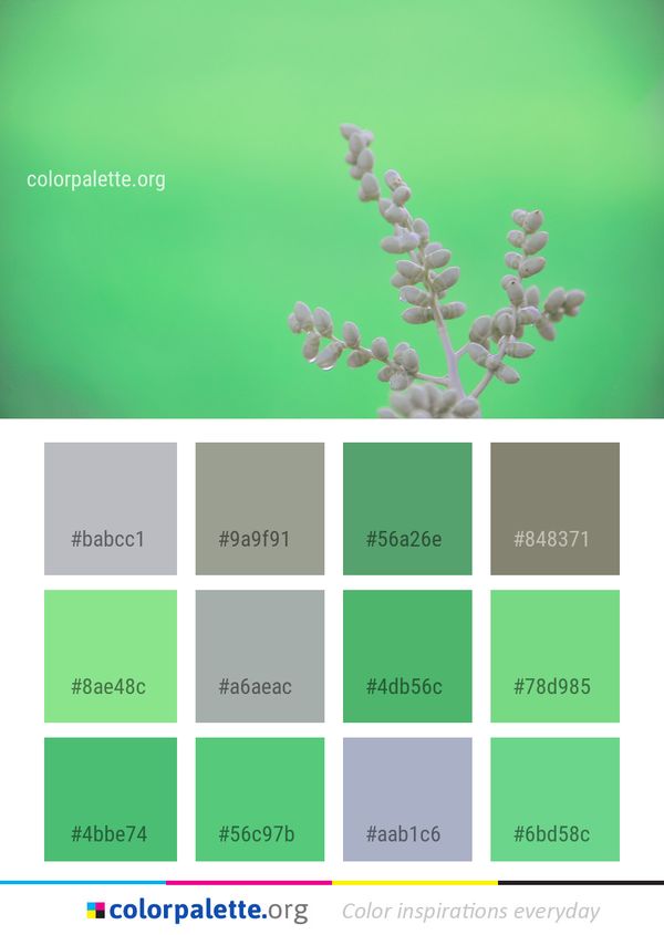 Green Flower Flora Color Palette