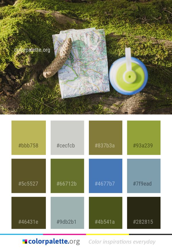 Green Grass Tree Color Palette