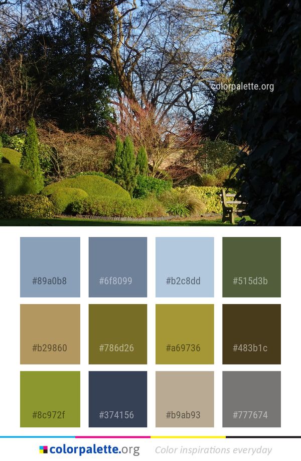 Nature Vegetation Tree Color Palette