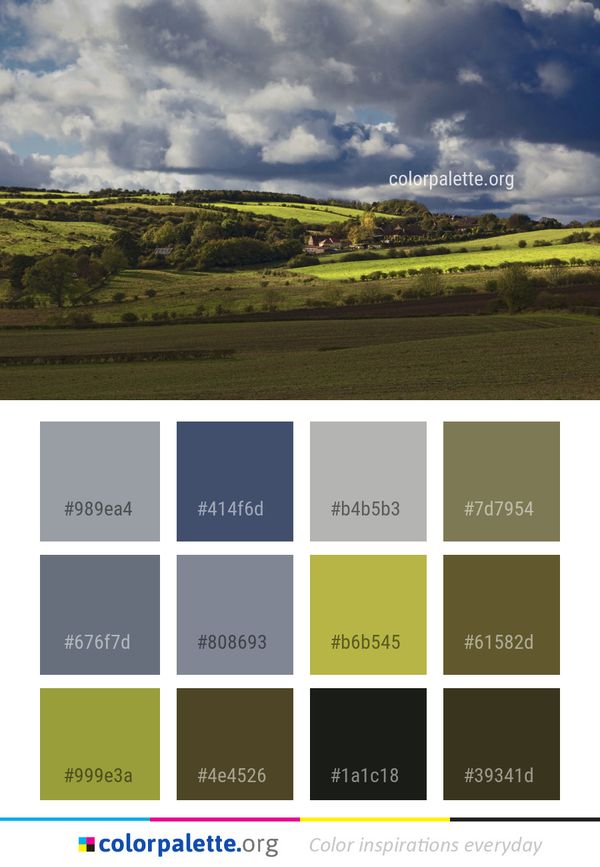 Sky Cloud Grassland Color Palette