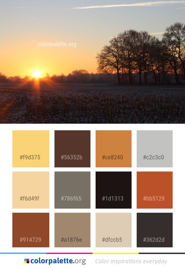 Sky Field Sunrise Color Palette