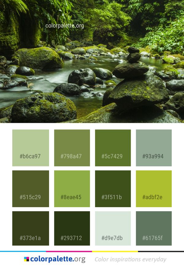 Vegetation Stream Nature Color Palette