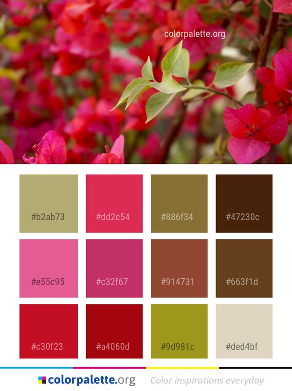 Flower Red Pink Color Palette