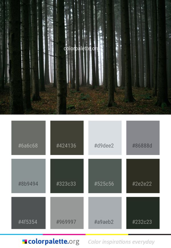 Forest Woodland Nature Color Palette