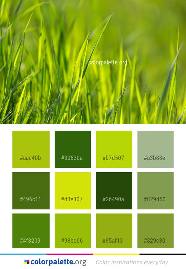 Green Grass Vegetation Color Palette