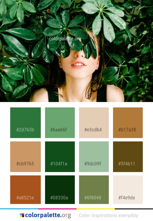Green Leaf Plant Color Palette