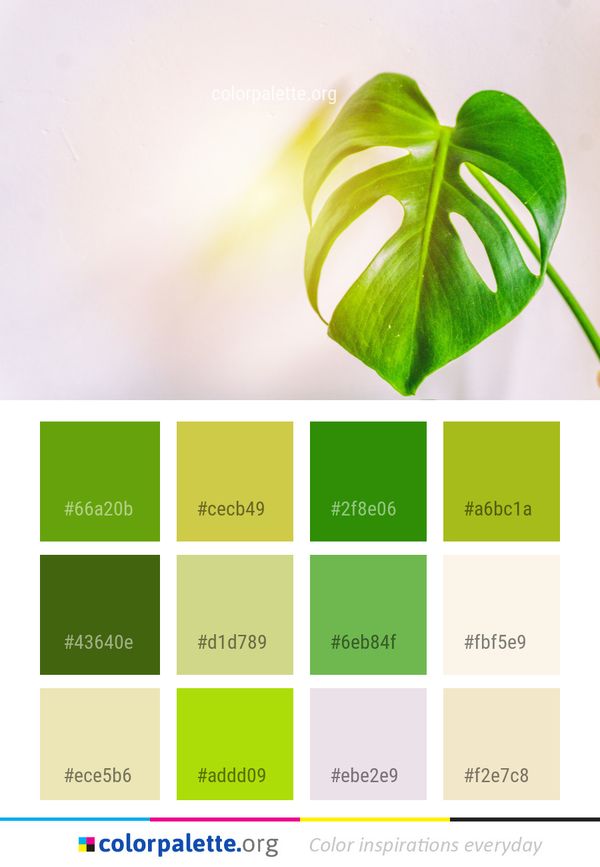 Green Leaf Plant Color Palette