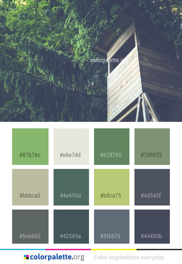 Green Nature Tree Color Palette