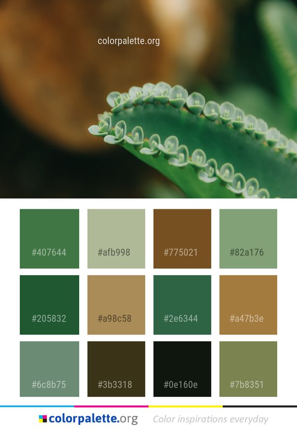 Green Water Macro Photography Color Palette