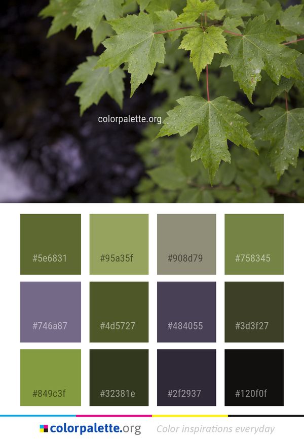 Leaf Tree Maple Color Palette