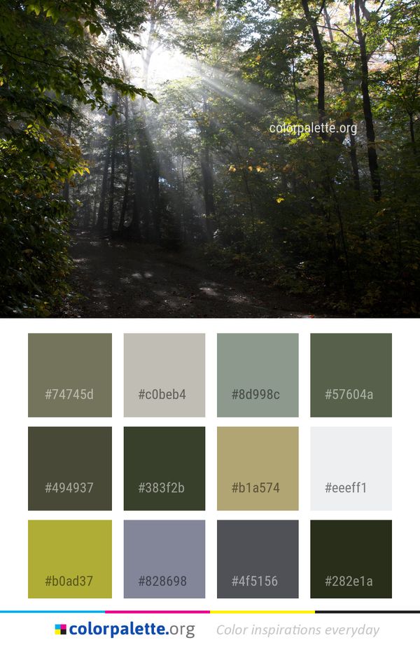 Nature Forest Woodland Color Palette