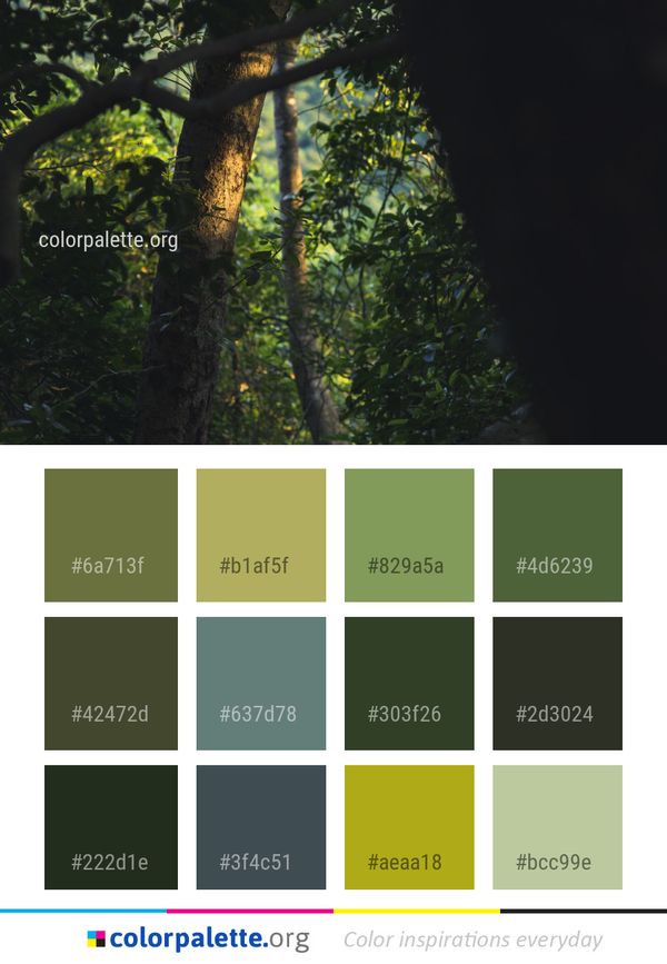 Nature Tree Vegetation Color Palette