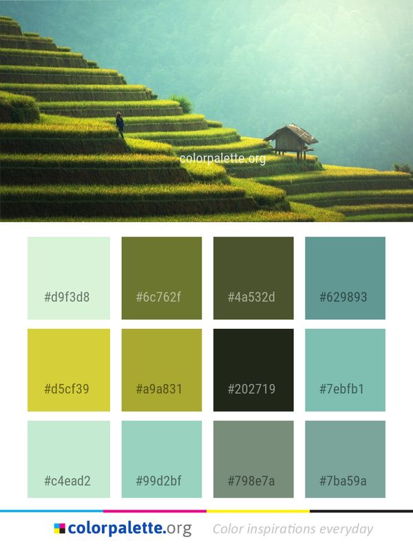Terrace Field Hill Station Color Palette