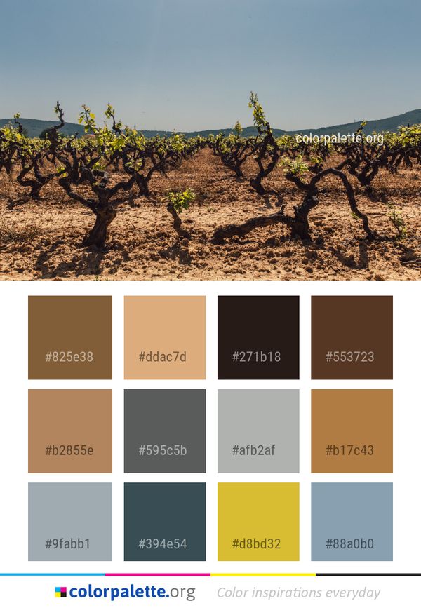 Agriculture Sky Tree Color Palette