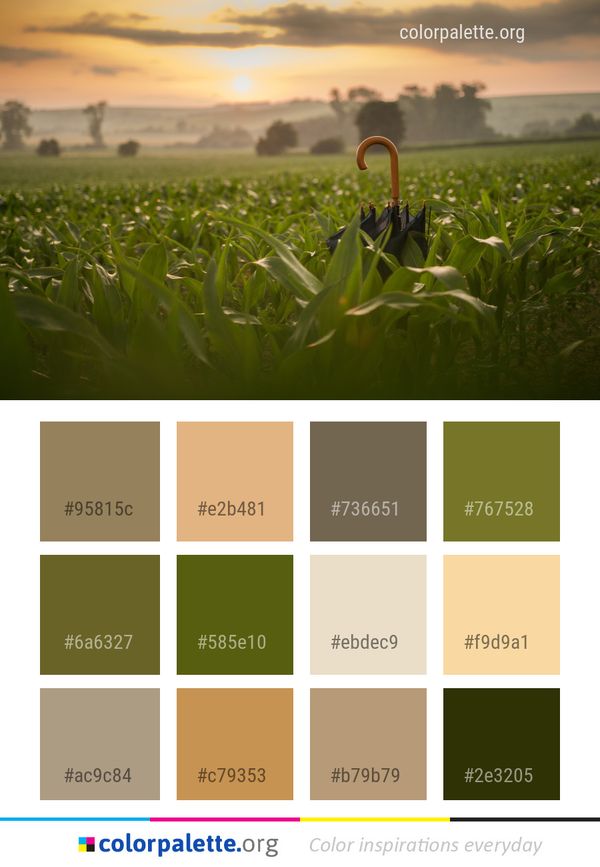 Field Grass Crop Color Palette