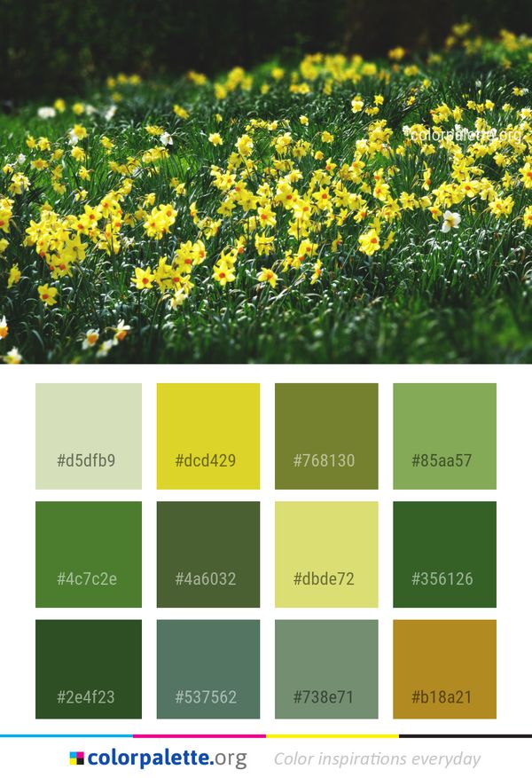 Flower Yellow Plant Color Palette