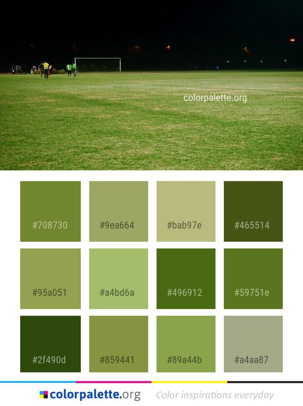 Green Grass Atmosphere Color Palette