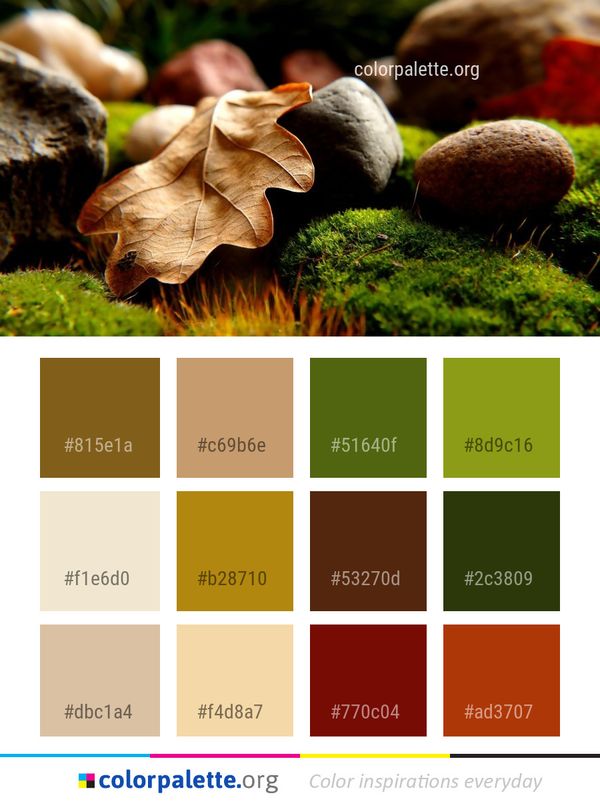 Leaf Grass Fungus Color Palette