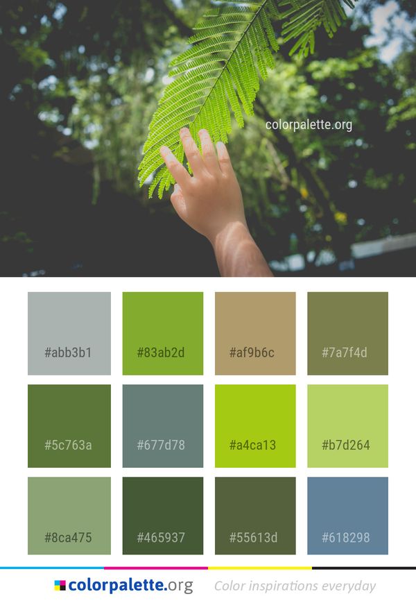 Leaf Tree Branch Color Palette