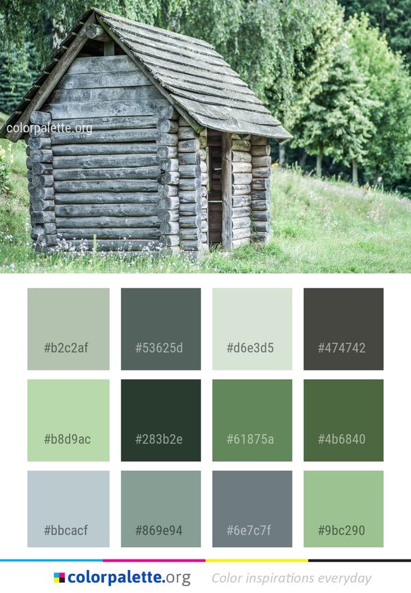 Log Cabin Shack Hut Color Palette