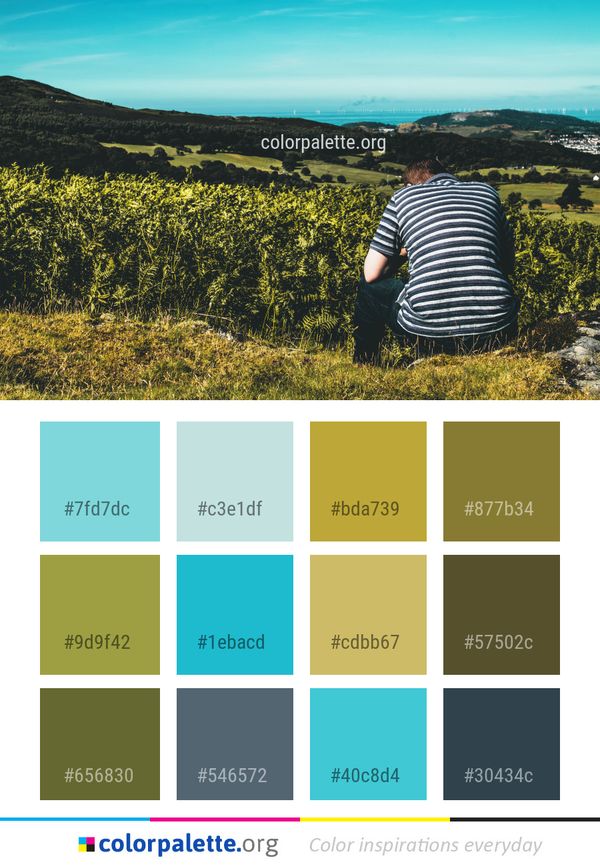 Sky Field Ecosystem Color Palette
