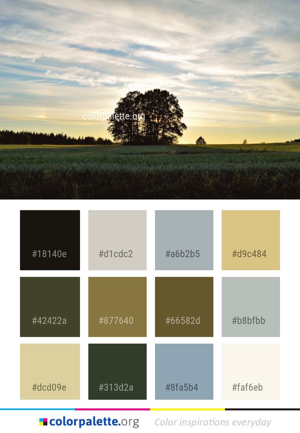 Sky Field Tree Color Palette
