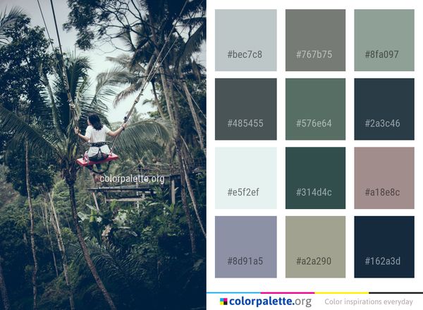 Tree Nature Woody Plant Color Palette
