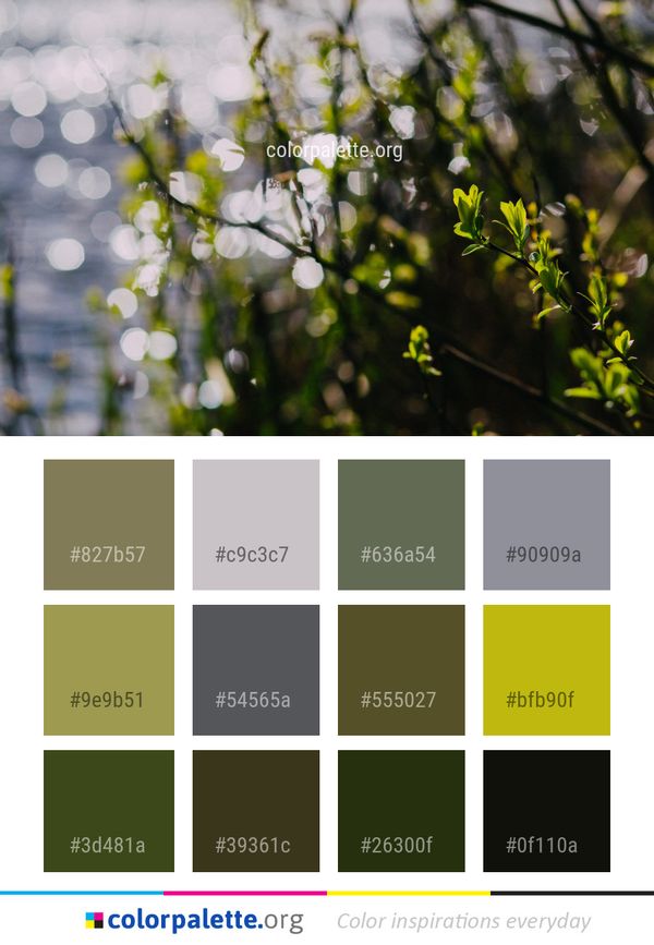 Flora Spring Branch Color Palette