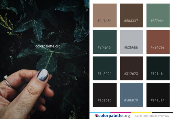 Leaf Plant Organism Color Palette