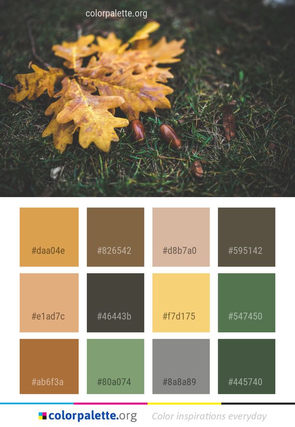 Leaf Yellow Autumn Color Palette