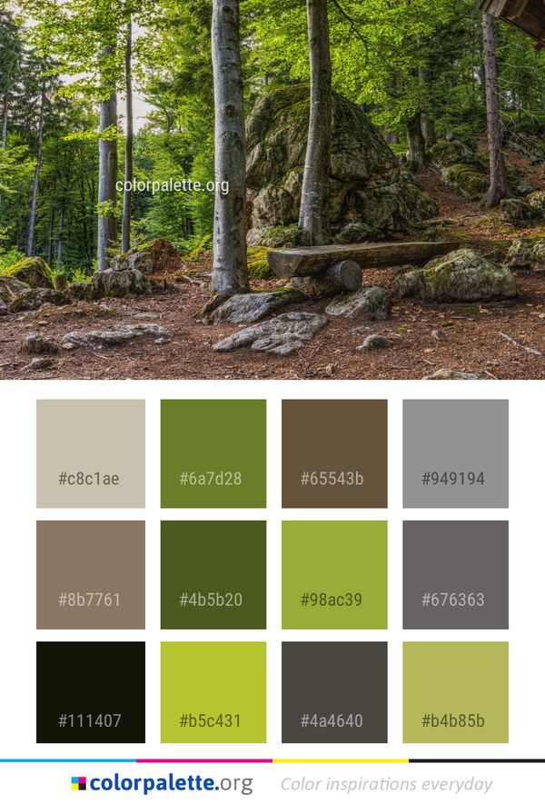 Nature Vegetation Tree Color Palette