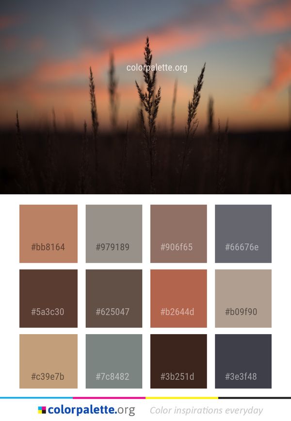 Sky Atmosphere Morning Color Palette