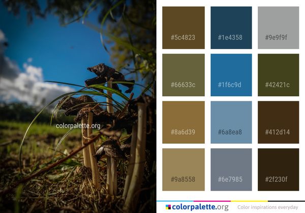 Sky Plant Tree Color Palette