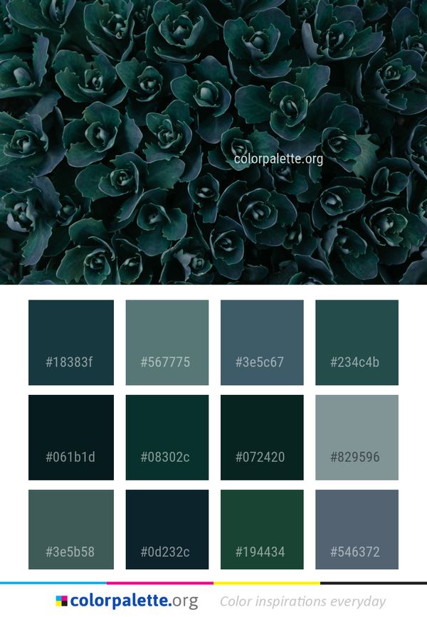Blue Green Flora Color Palette