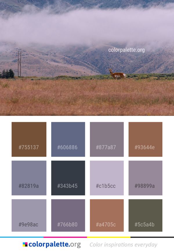 Highland Mountainous Landforms Ecosystem Color Palette