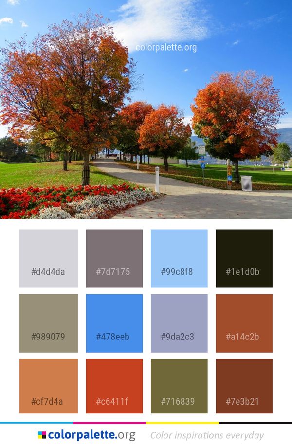 Leaf Nature Tree Color Palette
