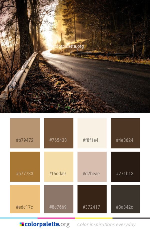 Nature Path Tree Color Palette