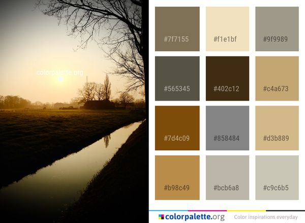 Reflection Water Waterway Color Palette