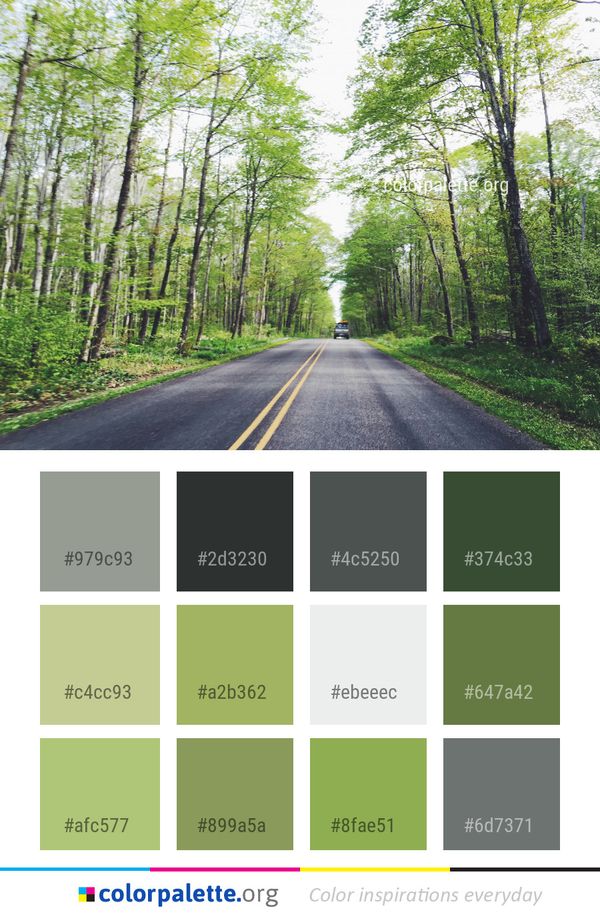 Road Path Nature Color Palette