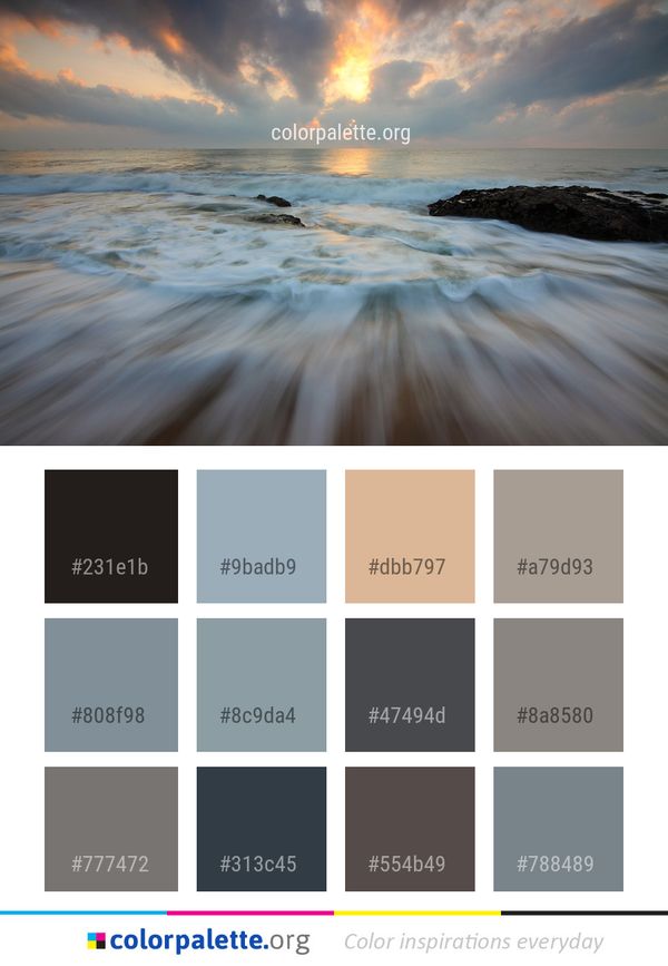 Sea Ocean Wave Color Palette