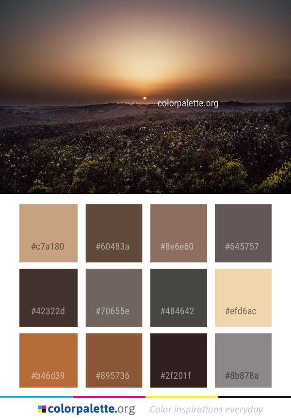 Sky Horizon Sunset Color Palette