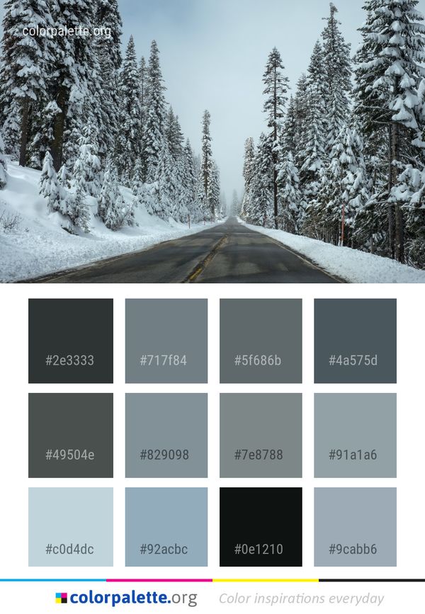 Snow Winter Tree Color Palette