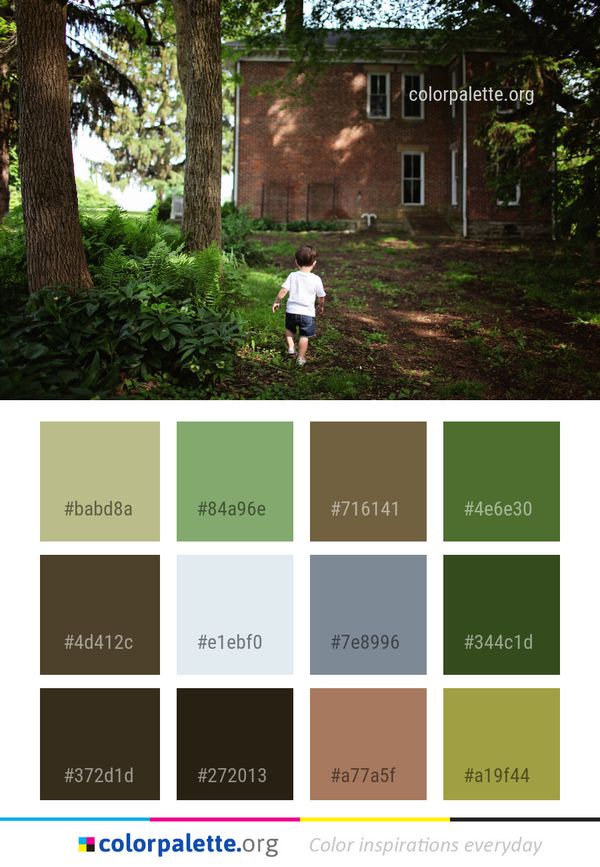 Tree Plant Path Color Palette