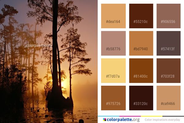 Tree Reflection Sunrise Color Palette