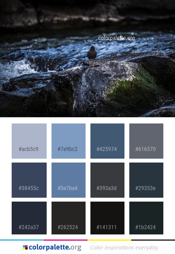 Water Body Of Rock Color Palette