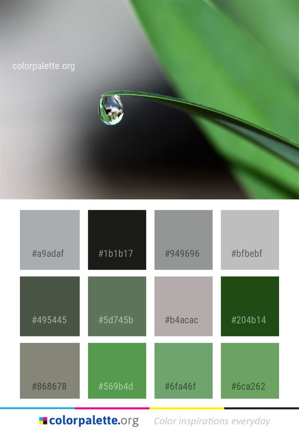 Water Drop Dew Color Palette